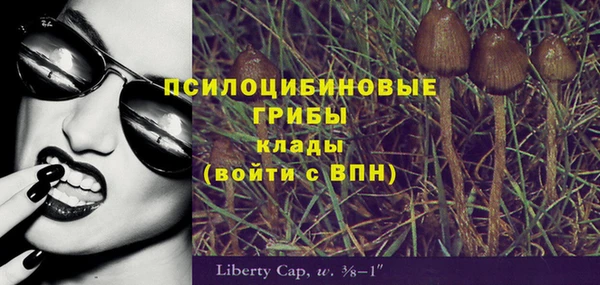 mdpv Нея