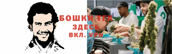 гашик Нефтегорск